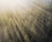 Learn how to create light rays in Photoshop